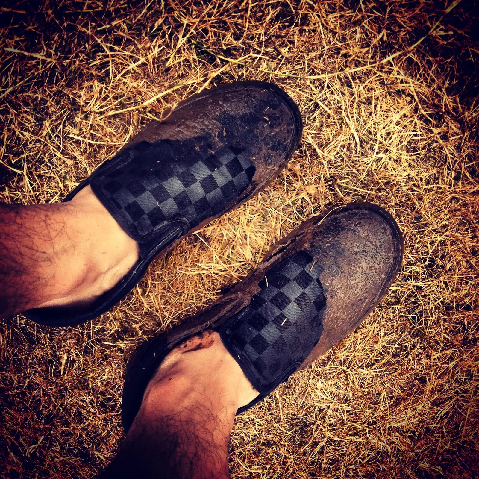 ACL ’14