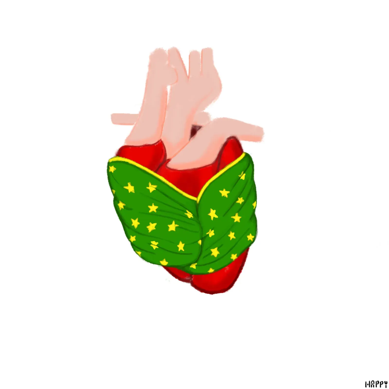 “Virgen Mantle” series