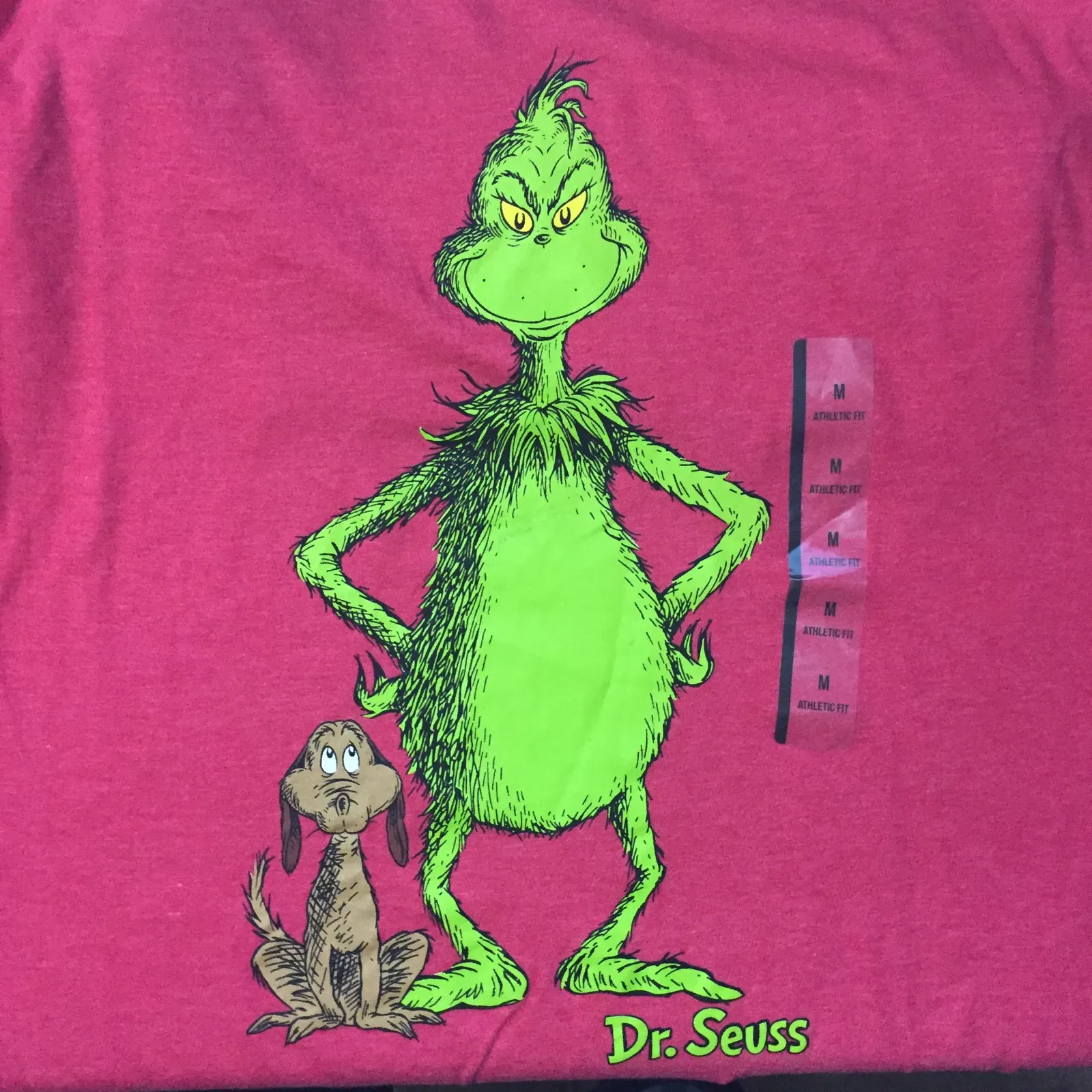 the Grinch in a costume